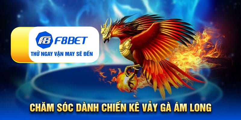 Chăm sóc cho vảy gà ám long